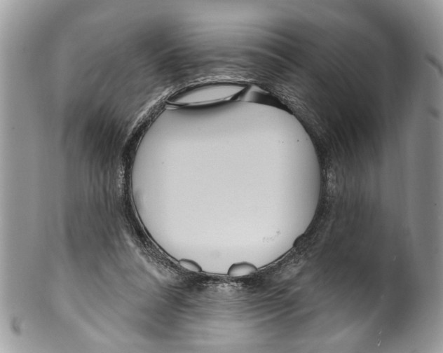 X0000099580304200806131324