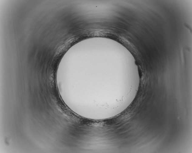 X0000099580306200806131324