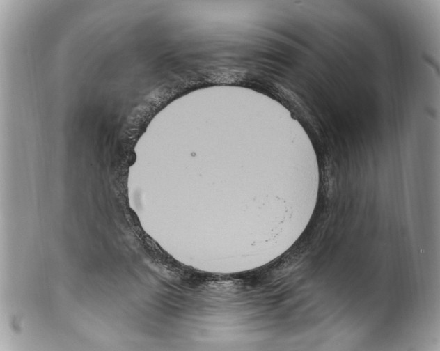 X0000099580307200806131324