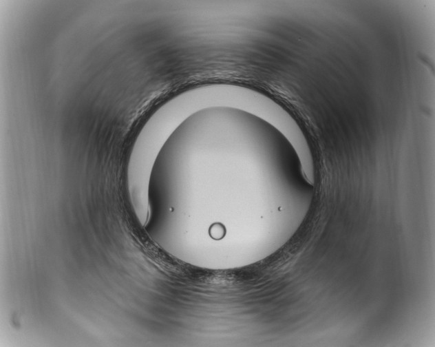 X0000099580308200806131324