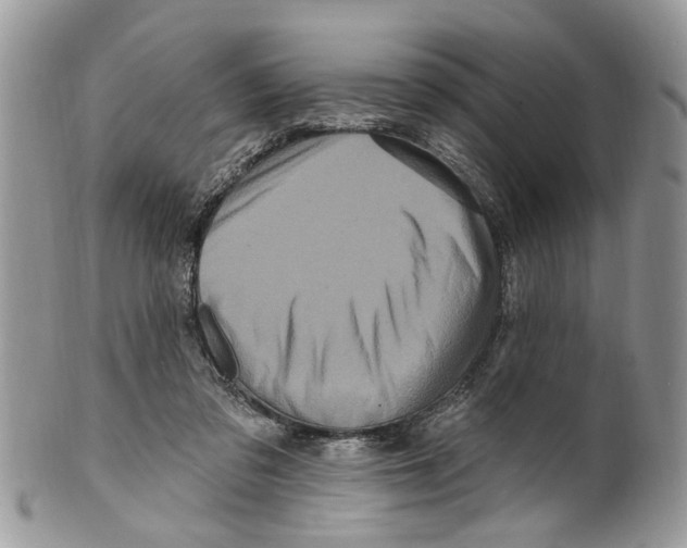 X0000099580309200806131324