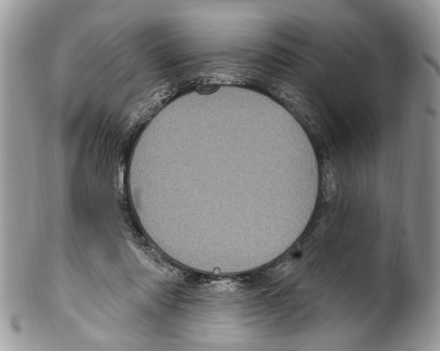 X0000099580310200806131324