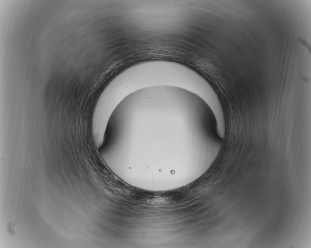 X0000099580312200806131324