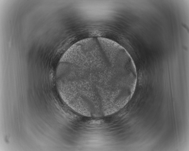 X0000099580314200806131324