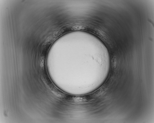 X0000099580315200806131324