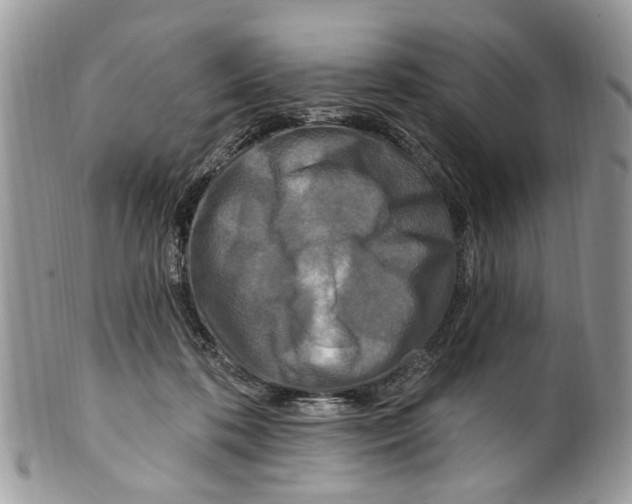 X0000099580316200806131324