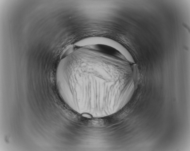 X0000099580317200806131324