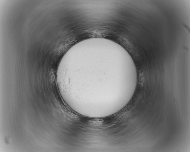 X0000099580318200806131324