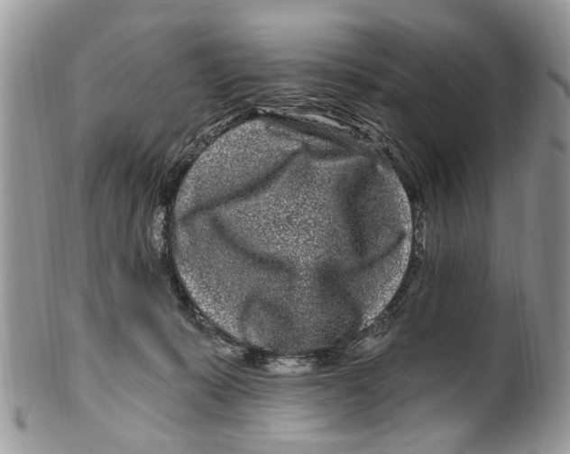 X0000099580319200806131324