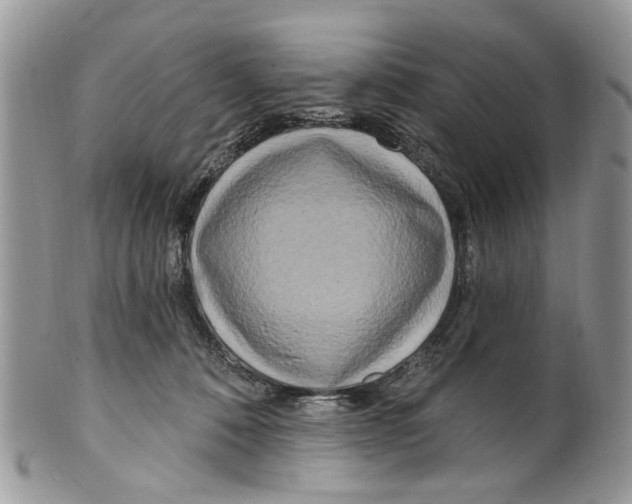 X0000099580320200806131324