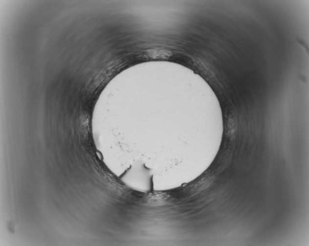 X0000099580321200806131324