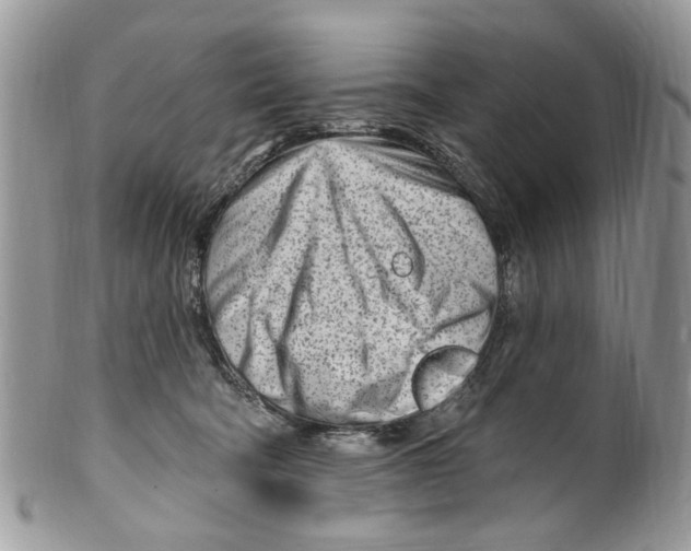 X0000099580322200806131324