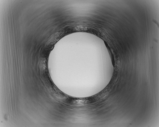 X0000099580323200806131324