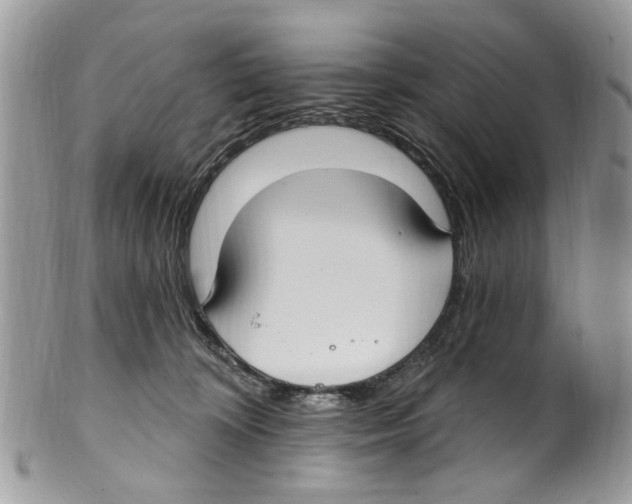 X0000099580324200806131324