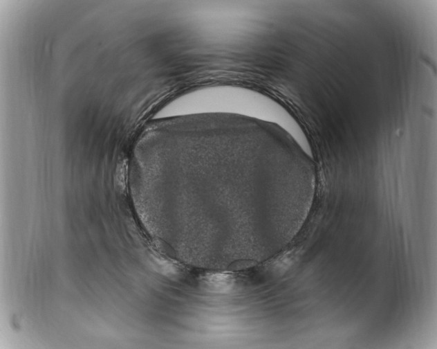 X0000099580325200806131324