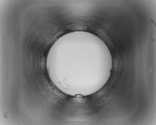 X0000099580326200806131324