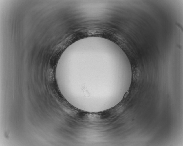 X0000099580327200806131324