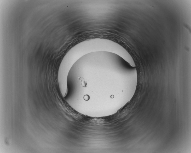 X0000099580328200806131324