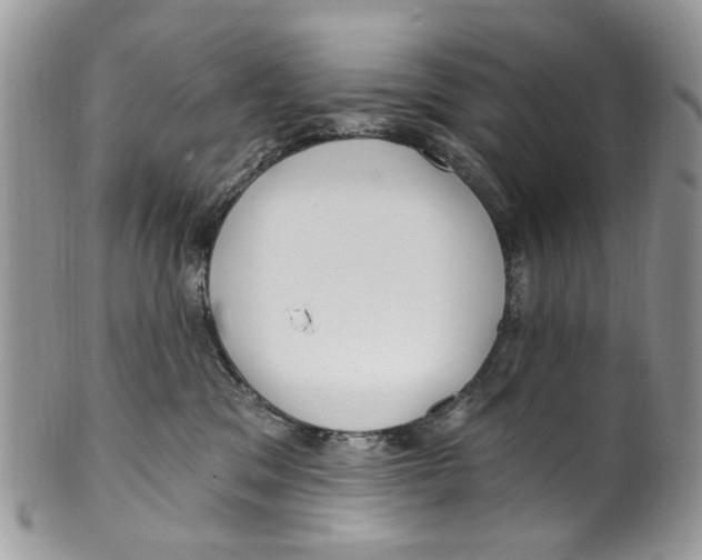 X0000099580329200806131324