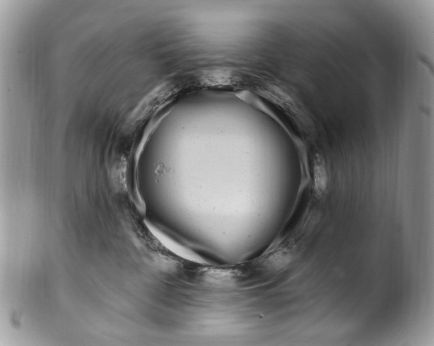 X0000099580332200806131324