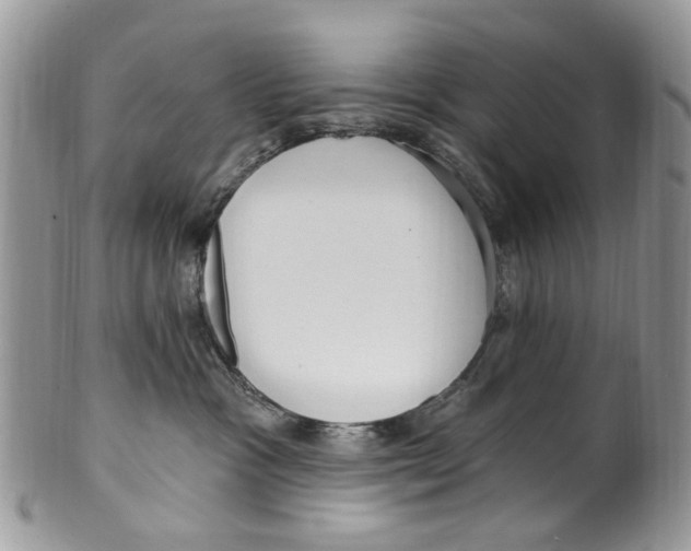 X0000099580333200806131324