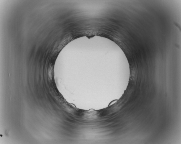 X0000099580334200806131324