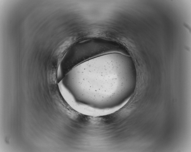 X0000099580336200806131323