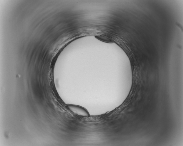 X0000099580338200806131323