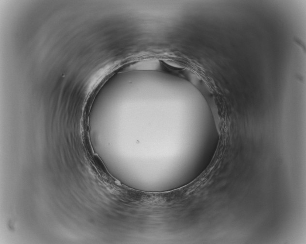 X0000099580340200806131323