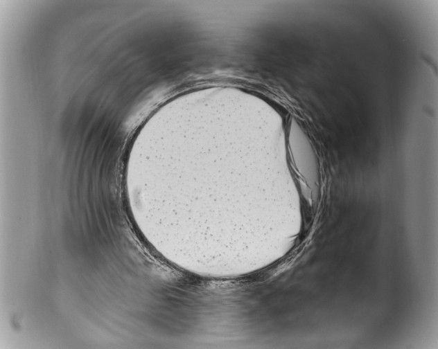 X0000099580341200806131323