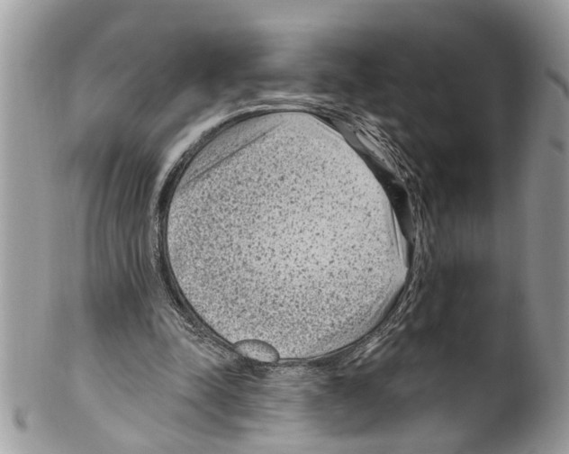 X0000099580342200806131323