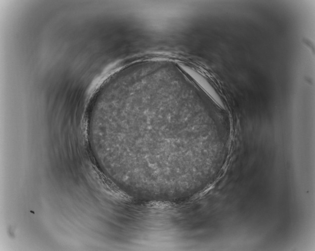 X0000099580343200806131323