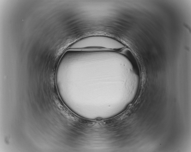 X0000099580345200806131323