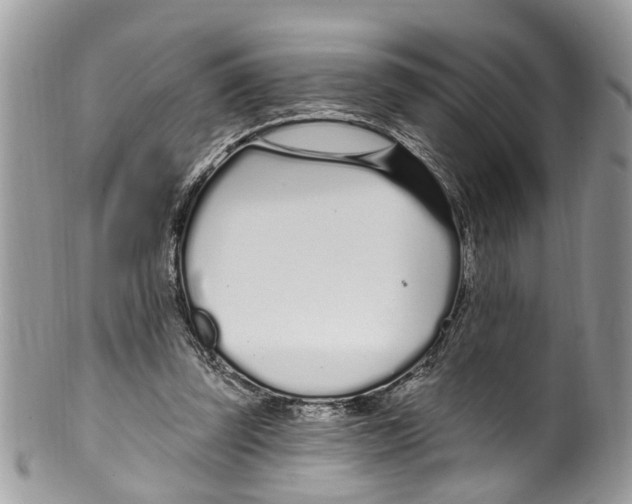 X0000099580347200806131323