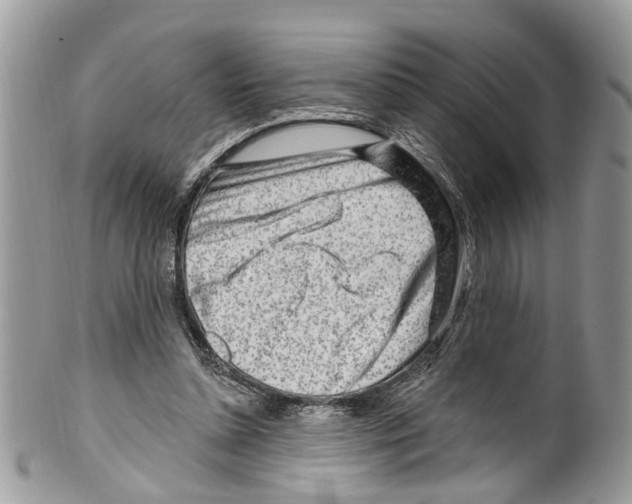 X0000099580348200806131323