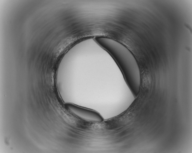 X0000099580350200806131323