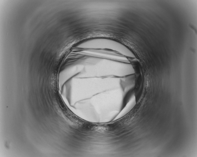 X0000099580352200806131323