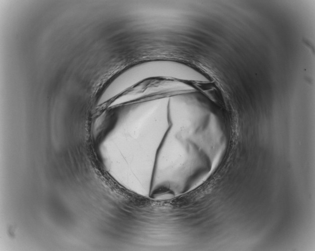 X0000099580353200806131323