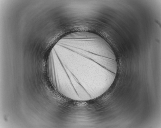 X0000099580355200806131323