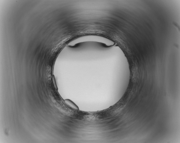 X0000099580356200806131323