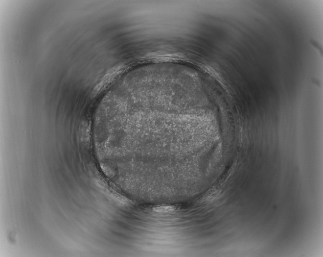 X0000099580357200806131323