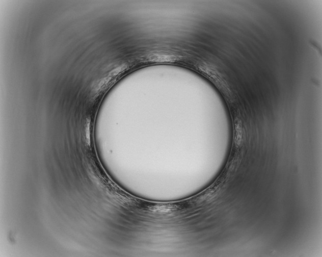 X0000099580358200806131323