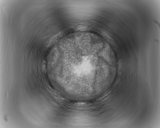 X0000099580361200806131323