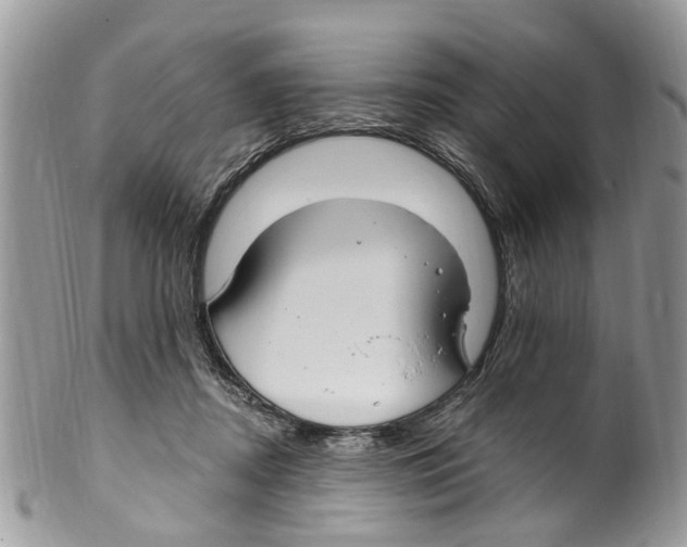 X0000099580362200806131323