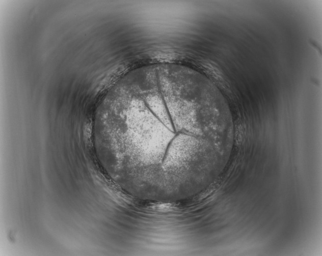 X0000099580365200806131323