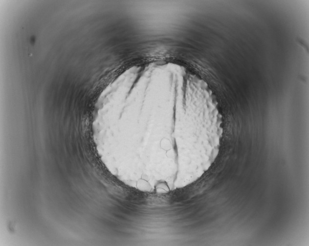 X0000099580369200806131323