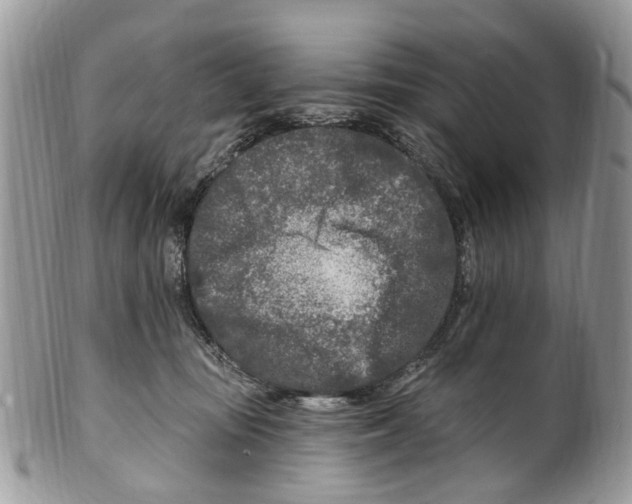 X0000099580371200806131323