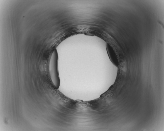 X0000099580372200806131323