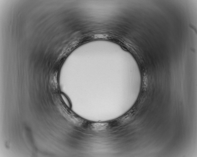 X0000099580373200806131323