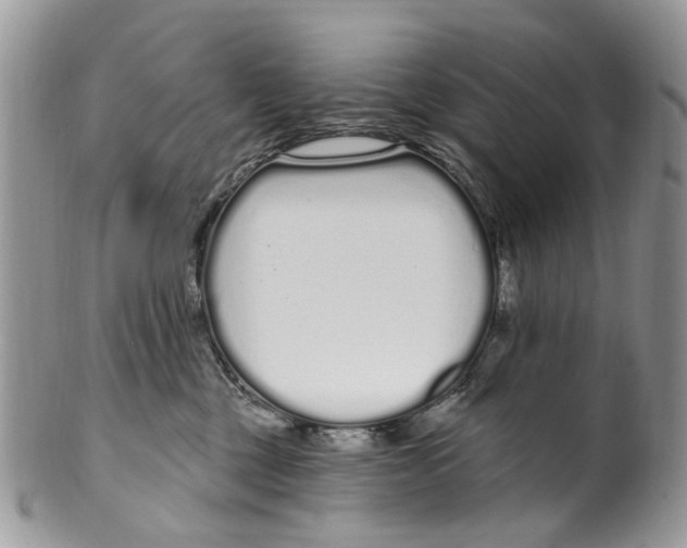 X0000099580377200806131323